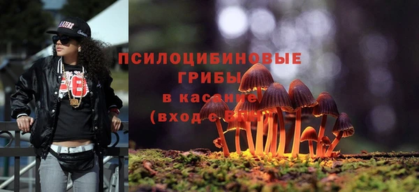 крисы Михайловка