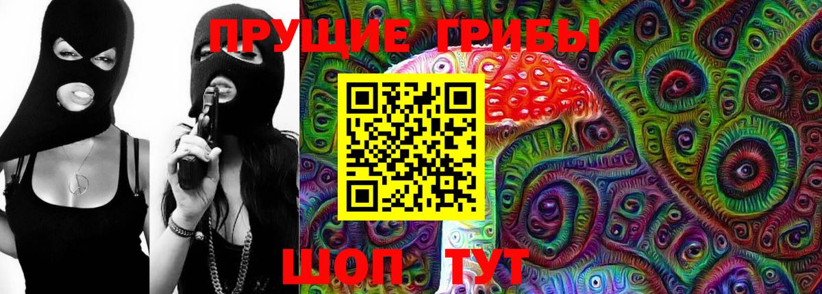 Котовск  Галлюциногенные грибы Psilocybe  Вход с VPN 