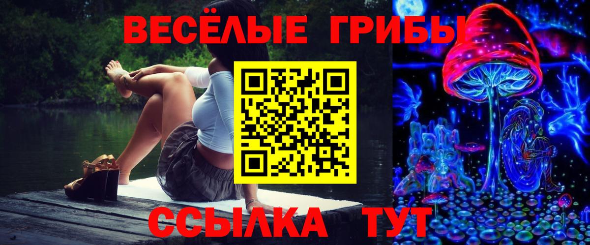 Галлюциногенные грибы GOLDEN TEACHER Котовск